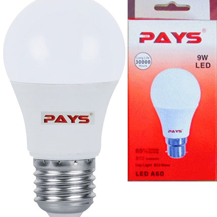 A60/A55 LED Lamp 7W B22 D/L PAYS