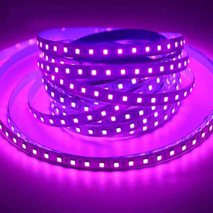 Purple Led Strip DRRL06